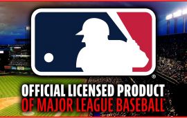 Lưới ném bóng chày và lưới bắt bóng Franklin Sports - Dụng cụ tập ném bóng 2 trong 1 cho người đánh bóng + Lưới bắt bóng - Mục tiêu ném bóng có người đánh bóng + vùng tấn công, màu đỏ